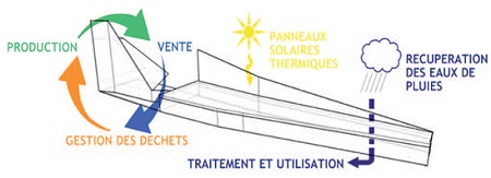 Projet de ferme urbaine par Greenation